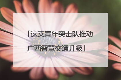 这支青年突击队推动广西智慧交通升级