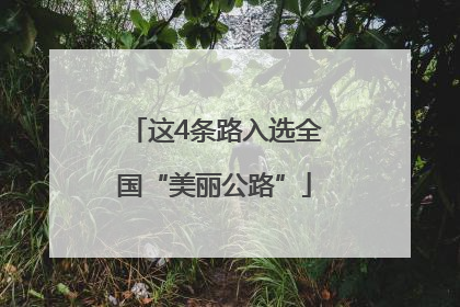 这4条路入选全国“美丽公路”