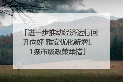 进一步推动经济运行回升向好 雅安优化新增11条市级政策举措