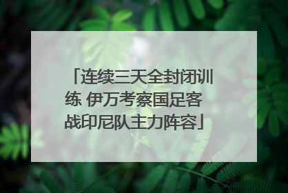 连续三天全封闭训练 伊万考察国足客战印尼队主力阵容