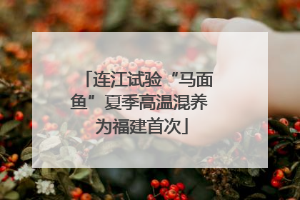 连江试验“马面鱼”夏季高温混养 为福建首次