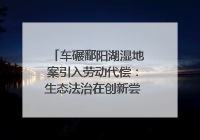 车碾鄱阳湖湿地案引入劳动代偿：生态法治在创新尝试｜有一说一
