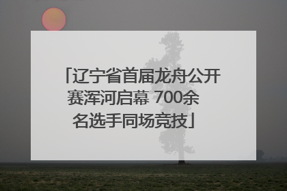 辽宁省首届龙舟公开赛浑河启幕 700余名选手同场竞技