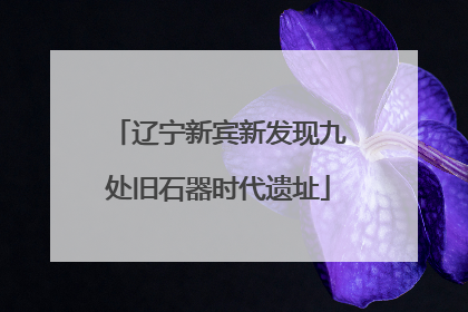 辽宁新宾新发现九处旧石器时代遗址