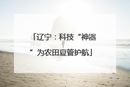 辽宁：科技“神器”为农田夏管护航