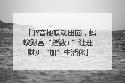 谐音梗联动出圈，蚂蚁财富“指数+”让理财更“加”生活化