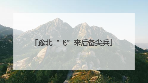 豫北“飞”来后备尖兵