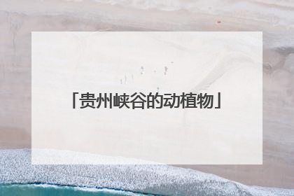 贵州峡谷的动植物