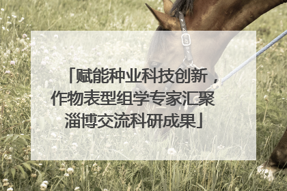 赋能种业科技创新，作物表型组学专家汇聚淄博交流科研成果