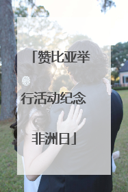 赞比亚举行活动纪念非洲日