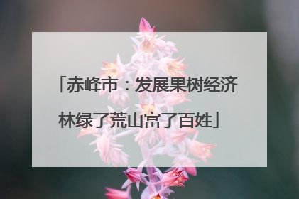 赤峰市：发展果树经济林绿了荒山富了百姓
