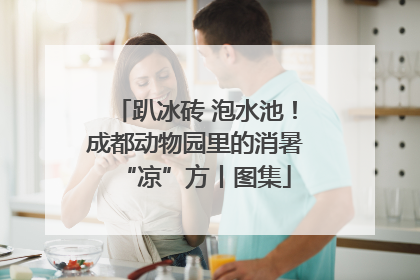 趴冰砖 泡水池！成都动物园里的消暑“凉”方丨图集