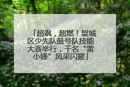 超飒，超燃！望城区少先队鼓号队技能大赛举行，千名“雷小锋”风采闪耀