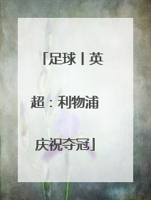 足球丨英超：利物浦庆祝夺冠