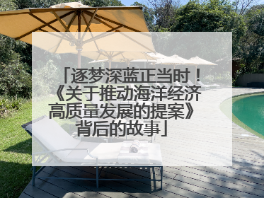 逐梦深蓝正当时！《关于推动海洋经济高质量发展的提案》背后的故事
