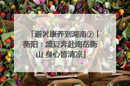 避暑康养到湖南②丨衡阳：盛夏奔赴南岳衡山 身心皆清凉