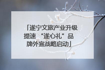 遂宁文旅产业升级提速 “遂心礼”品牌外宣战略启动