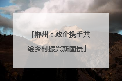 郴州：政企携手共绘乡村振兴新图景