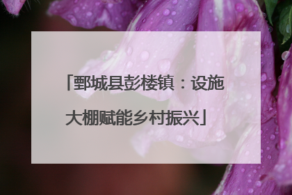 鄄城县彭楼镇：设施大棚赋能乡村振兴