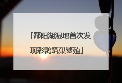 鄱阳湖湿地首次发现彩鹮筑巢繁殖