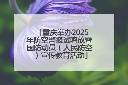 重庆举办2025年防空警报试鸣放暨国防动员（人民防空）宣传教育活动