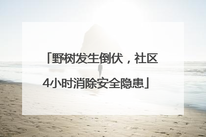 野树发生倒伏，社区4小时消除安全隐患