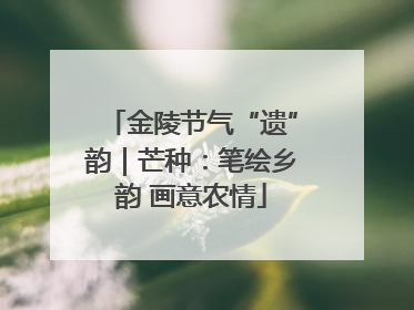 金陵节气“遗”韵｜芒种：笔绘乡韵 画意农情