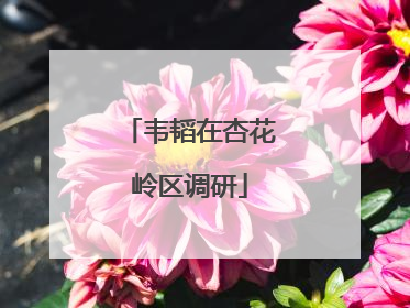 韦韬在杏花岭区调研