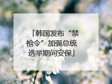 韩国发布“禁枪令”加强总统选举期间安保