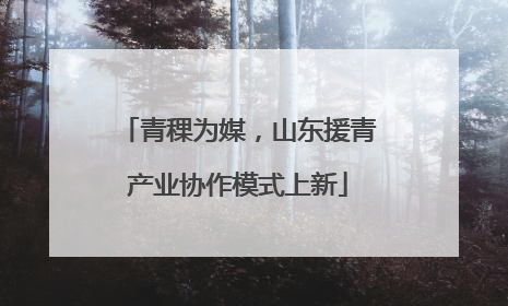 青稞为媒，山东援青产业协作模式上新