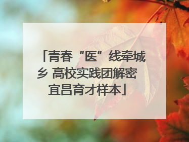 青春“医”线牵城乡 高校实践团解密宜昌育才样本