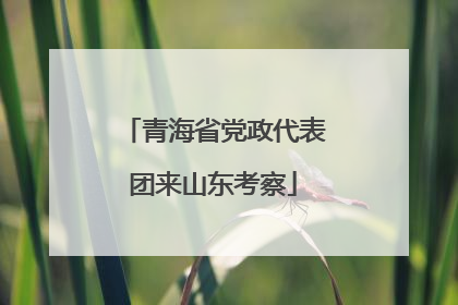青海省党政代表团来山东考察