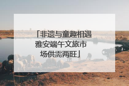 非遗与童趣相遇 雅安端午文旅市场供需两旺