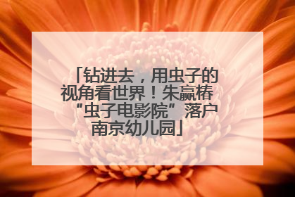 钻进去，用虫子的视角看世界！朱赢椿“虫子电影院”落户南京幼儿园