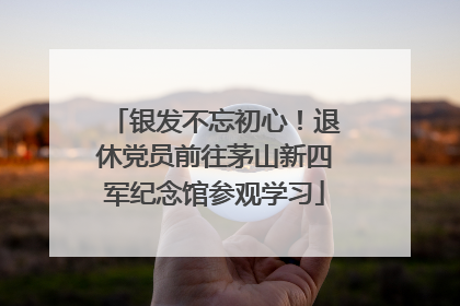 银发不忘初心！退休党员前往茅山新四军纪念馆参观学习