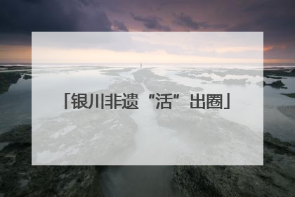 银川非遗“活”出圈