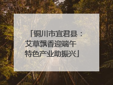 铜川市宜君县：艾草飘香迎端午 特色产业助振兴