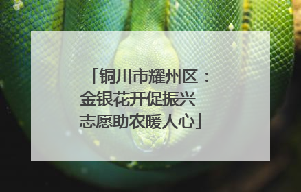 铜川市耀州区：金银花开促振兴 志愿助农暖人心