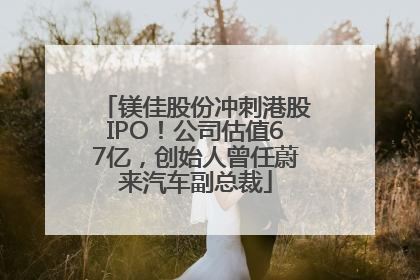 镁佳股份冲刺港股IPO！公司估值67亿，创始人曾任蔚来汽车副总裁