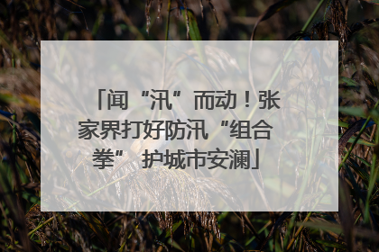 闻“汛”而动！张家界打好防汛“组合拳” 护城市安澜