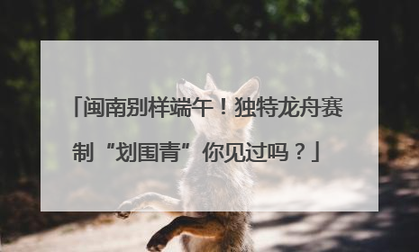 闽南别样端午！独特龙舟赛制“划围青”你见过吗？