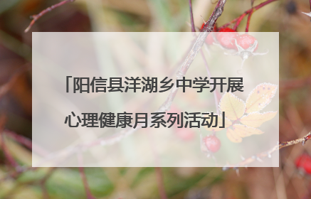 阳信县洋湖乡中学开展心理健康月系列活动