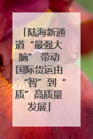 陆海新通道“最强大脑” 带动国际货运由“智”到“质”高质量发展