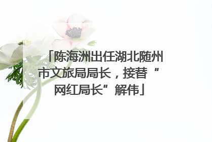 陈海洲出任湖北随州市文旅局局长，接替“网红局长”解伟