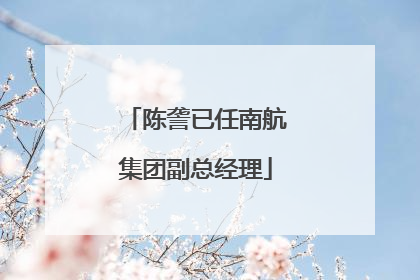 陈詟已任南航集团副总经理