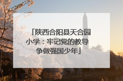 陕西合阳县天合园小学：牢记党的教导 争做强国少年