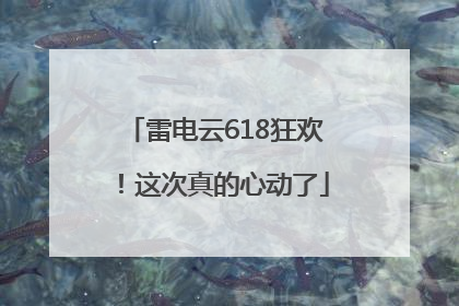 雷电云618狂欢！这次真的心动了