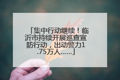 集中行动继续！临沂市持续开展巡查宣防行动，出动警力1.75万人……