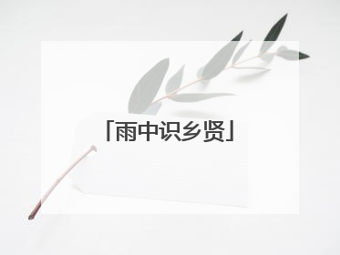 雨中识乡贤