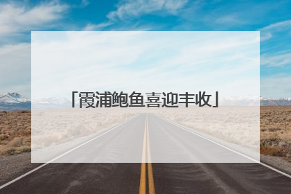 霞浦鲍鱼喜迎丰收